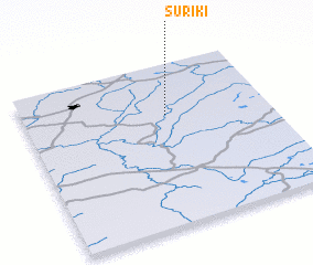 3d view of Suriki