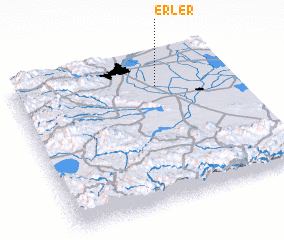 3d view of Erler