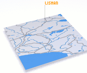 3d view of Lisman