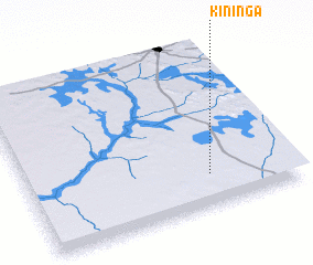 3d view of Kininga