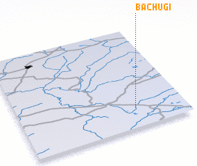 3d view of Bachugi