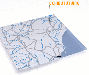 3d view of C. Chibututuine