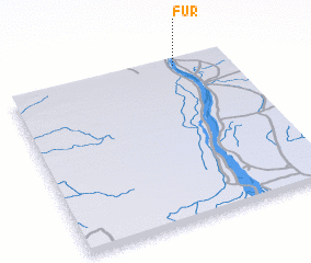 3d view of Fur