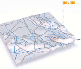 3d view of Hoyuni