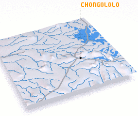 3d view of Chongololo