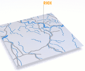 3d view of Riek