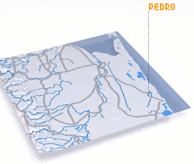 3d view of Pedro