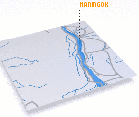 3d view of Maningok