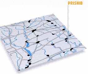 3d view of Prishib