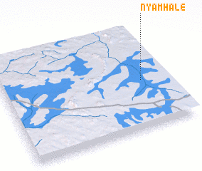 3d view of Nyamhale
