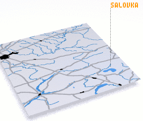 3d view of Salovka