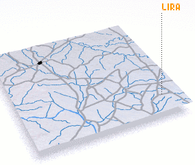 3d view of Lira