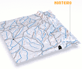 3d view of Monteiro