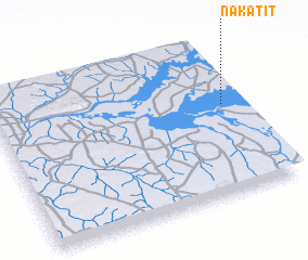 3d view of Nakatit