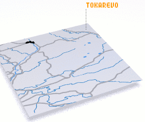 3d view of Tokarëvo