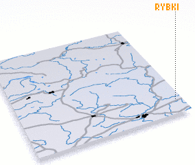 3d view of Rybki