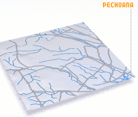 3d view of Pechoana