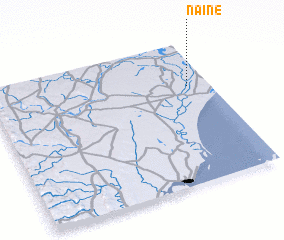 3d view of Naine