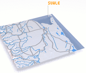 3d view of Suale