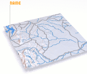 3d view of Naine