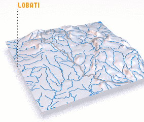 3d view of Lobati