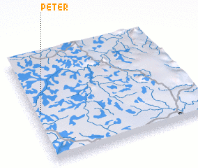 3d view of Peter