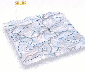 3d view of Salur