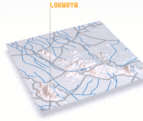 3d view of Lokwoya