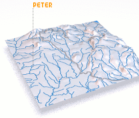 3d view of Peter