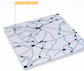 3d view of Shokodʼkovo