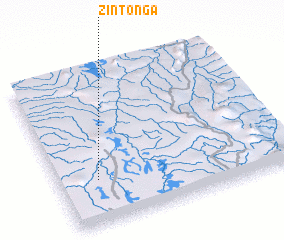 3d view of Zintonga