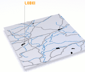 3d view of Lobki