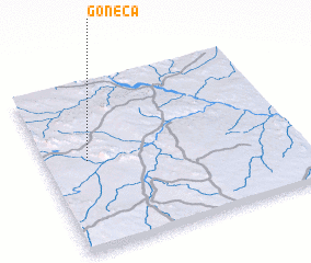 3d view of Goneca