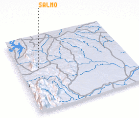 3d view of Salmo