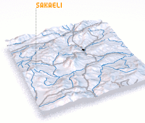 3d view of Sakaeli