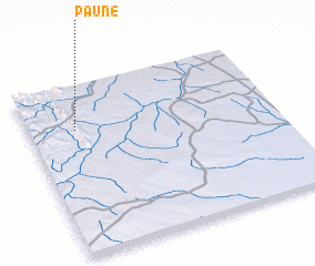 3d view of Paune