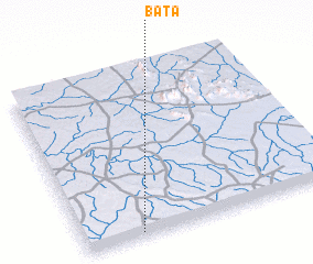 3d view of Bata