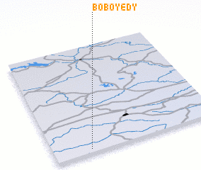 3d view of Boboyedy