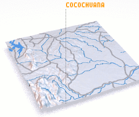 3d view of Cocochuana