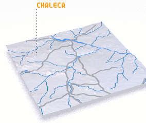 3d view of Chaleca