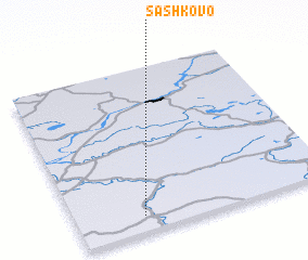 3d view of Sashkovo