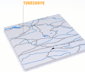 3d view of Tverskoye