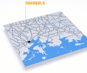 3d view of Nakabale
