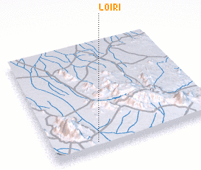 3d view of Loiri