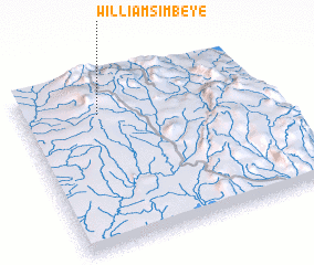 3d view of William Simbeye