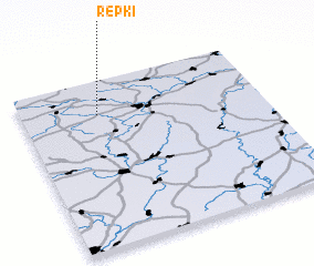 3d view of Repki