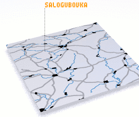 3d view of Salogubovka