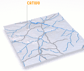 3d view of Cativo