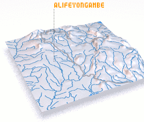 3d view of Alifeyo Ngambe