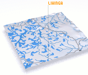 3d view of Liwinga